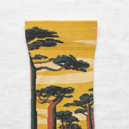 chaussettes - bonne maison -  Baobab - Bouton d'Or - femme - homme - mixte