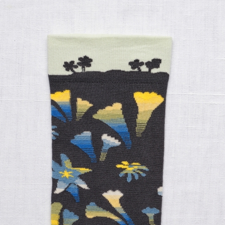 socks - bonne maison -  Garden - Night - women - men - mixed