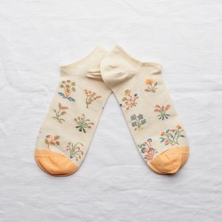 socks - bonne maison -  Seedlings - White - women - men - mixed