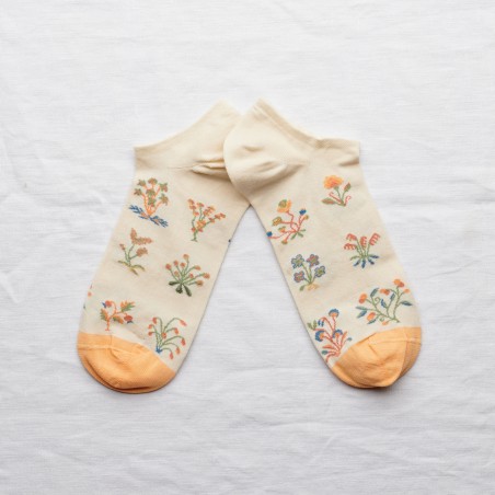 socks - bonne maison -  Seedlings - White - women - men - mixed