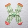 Lichen Stripe Socks