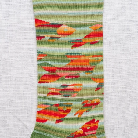 Chaussettes Poissons Avocat