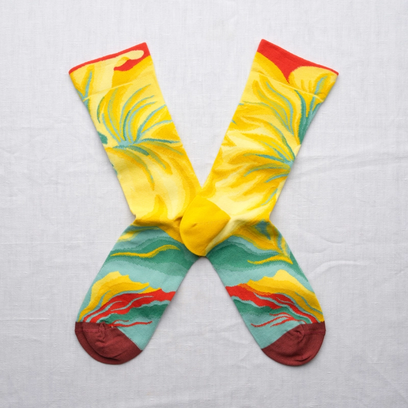 Chaussettes Fleur Multico