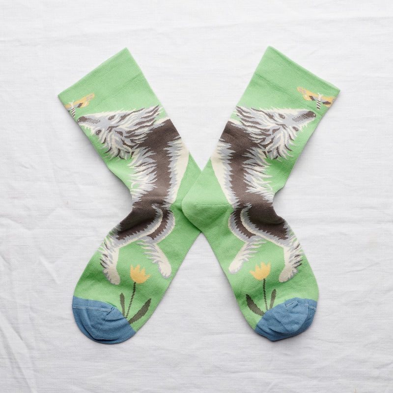 Dog Sock Lichen