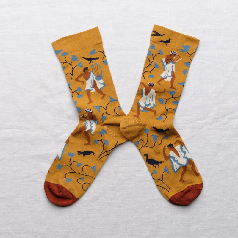 Ochre Musicians Socks