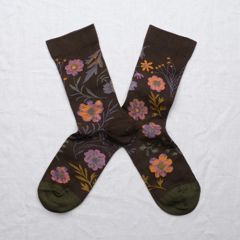 Autumn flowers