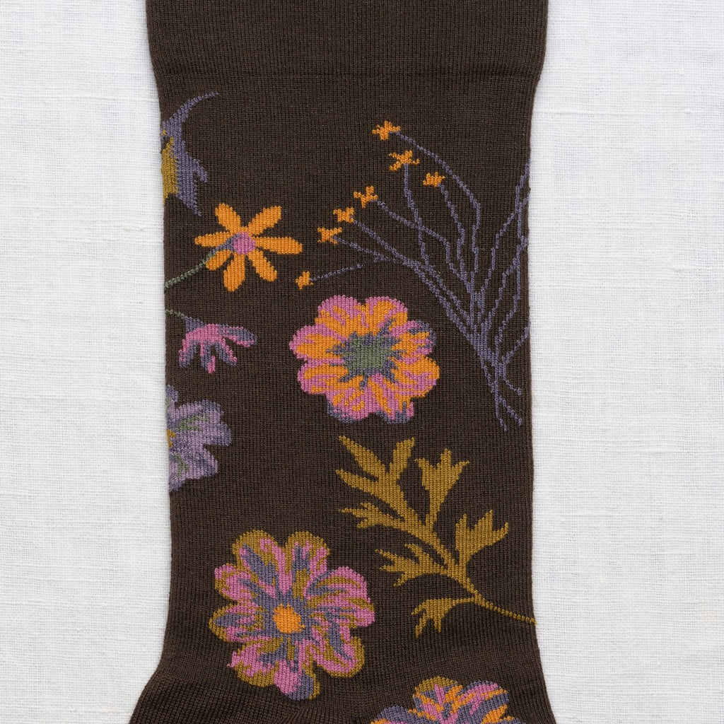 Autumn flowers