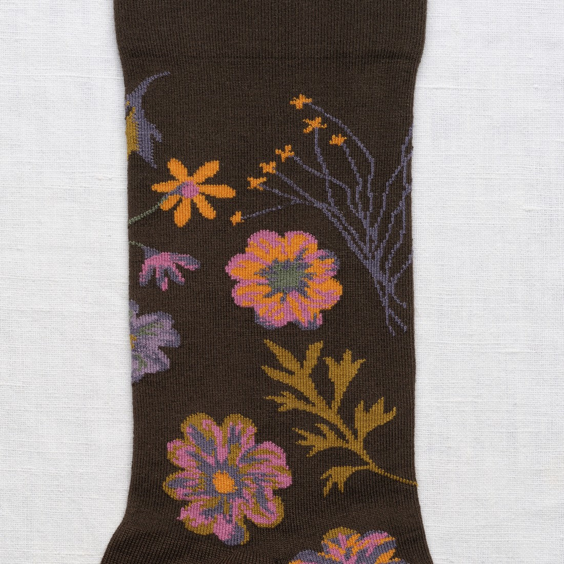 Autumn flowers