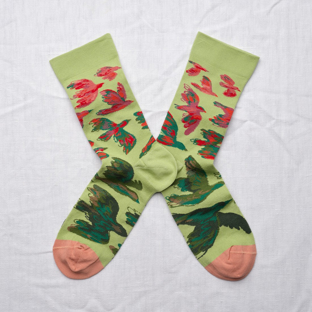 Chaussettes Oiseaux
