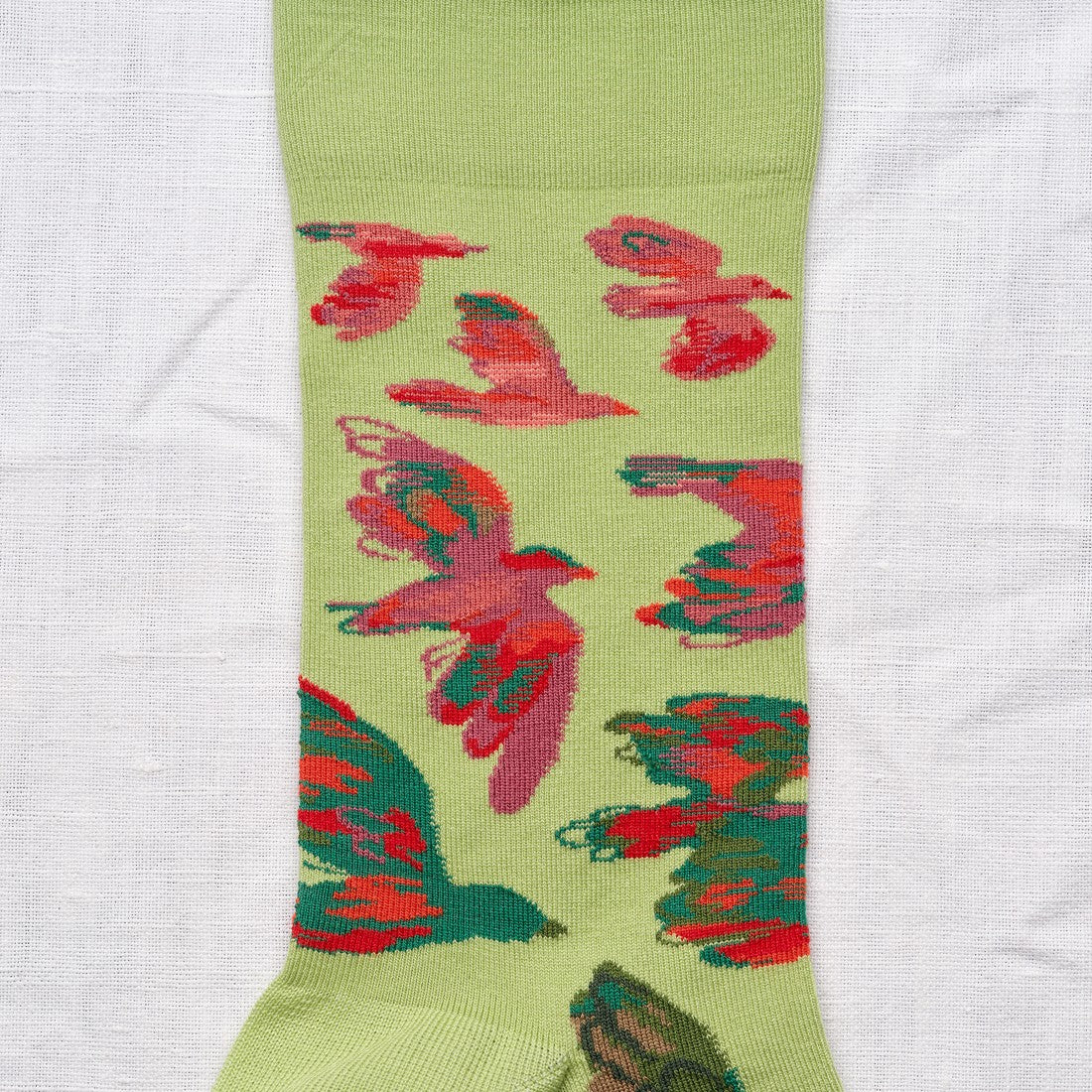 Lime Bird Socks