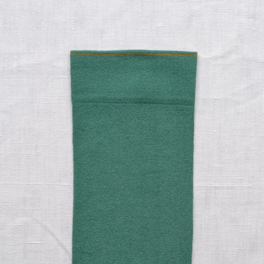 Chaussettes Uni Canard