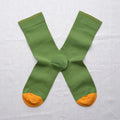Chaussettes Avocat
