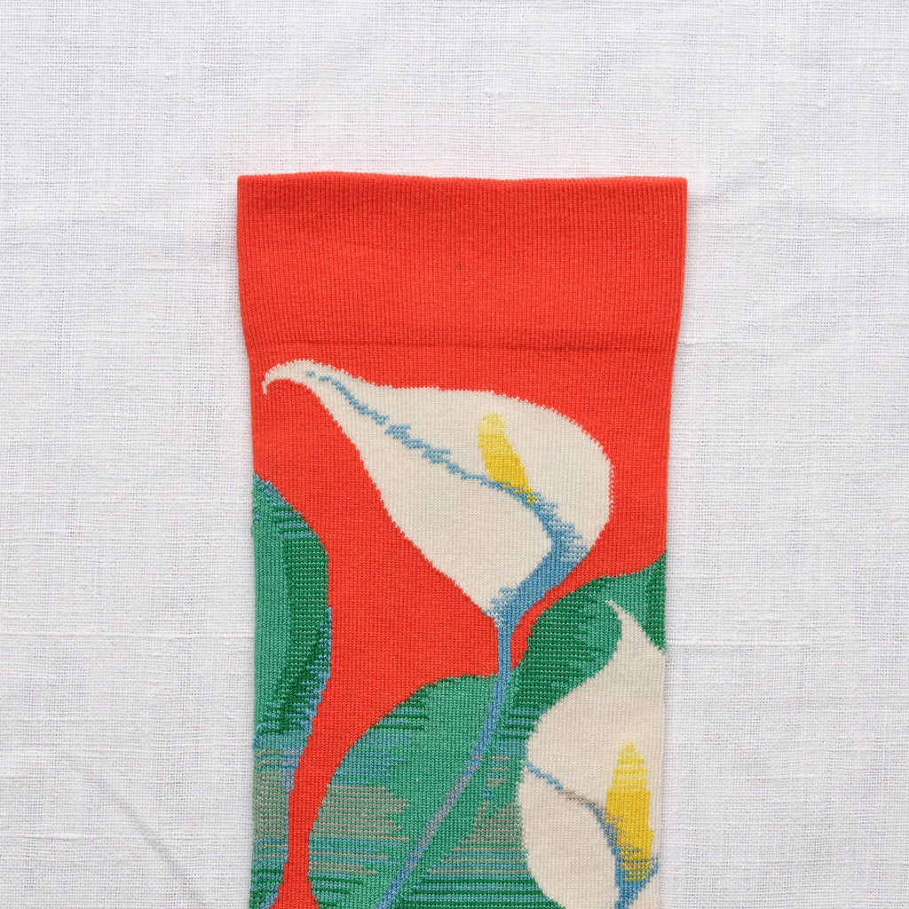 Chaussettes Aromes Vermillon