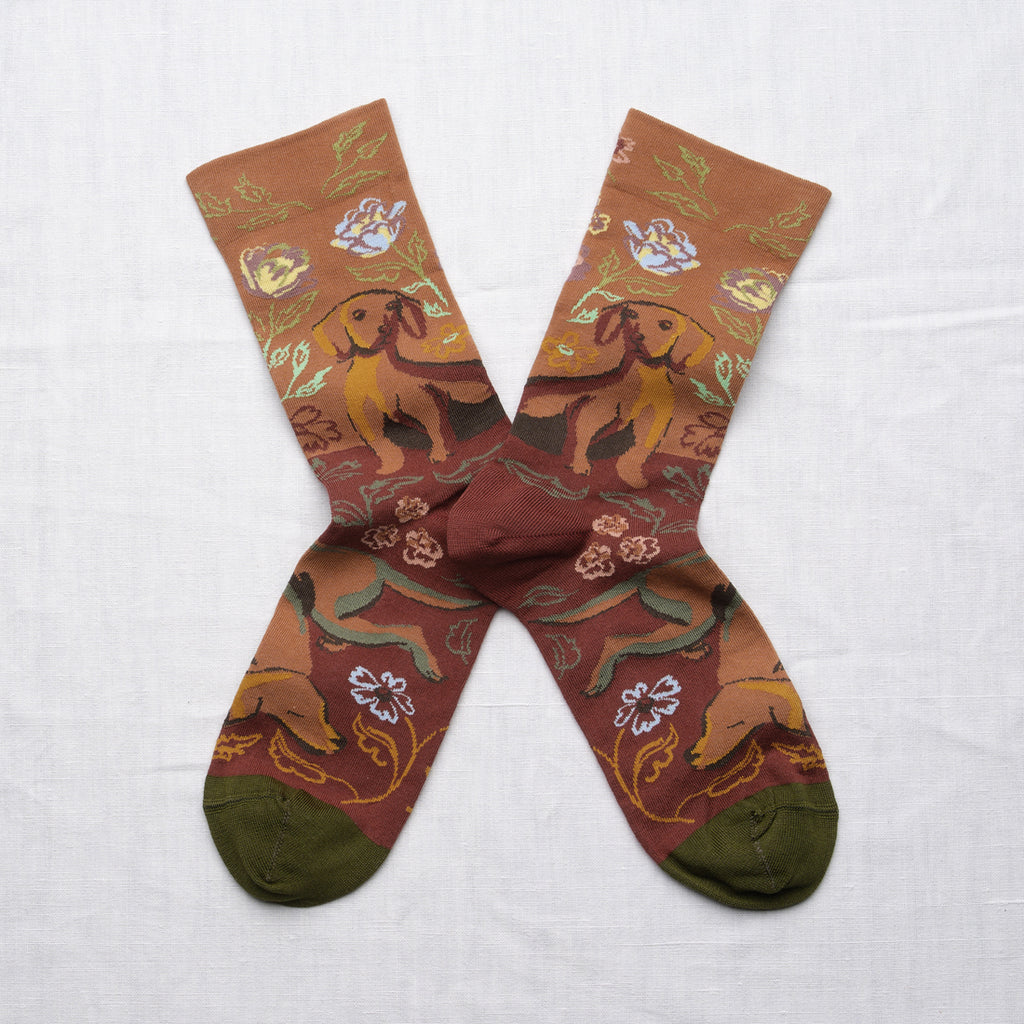 Caramel Dachshund Socks