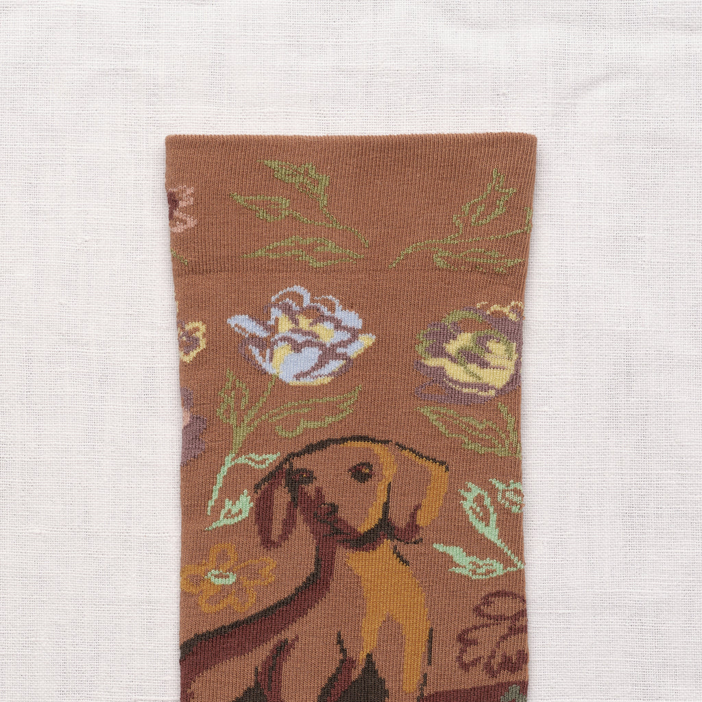 Caramel Dachshund Socks