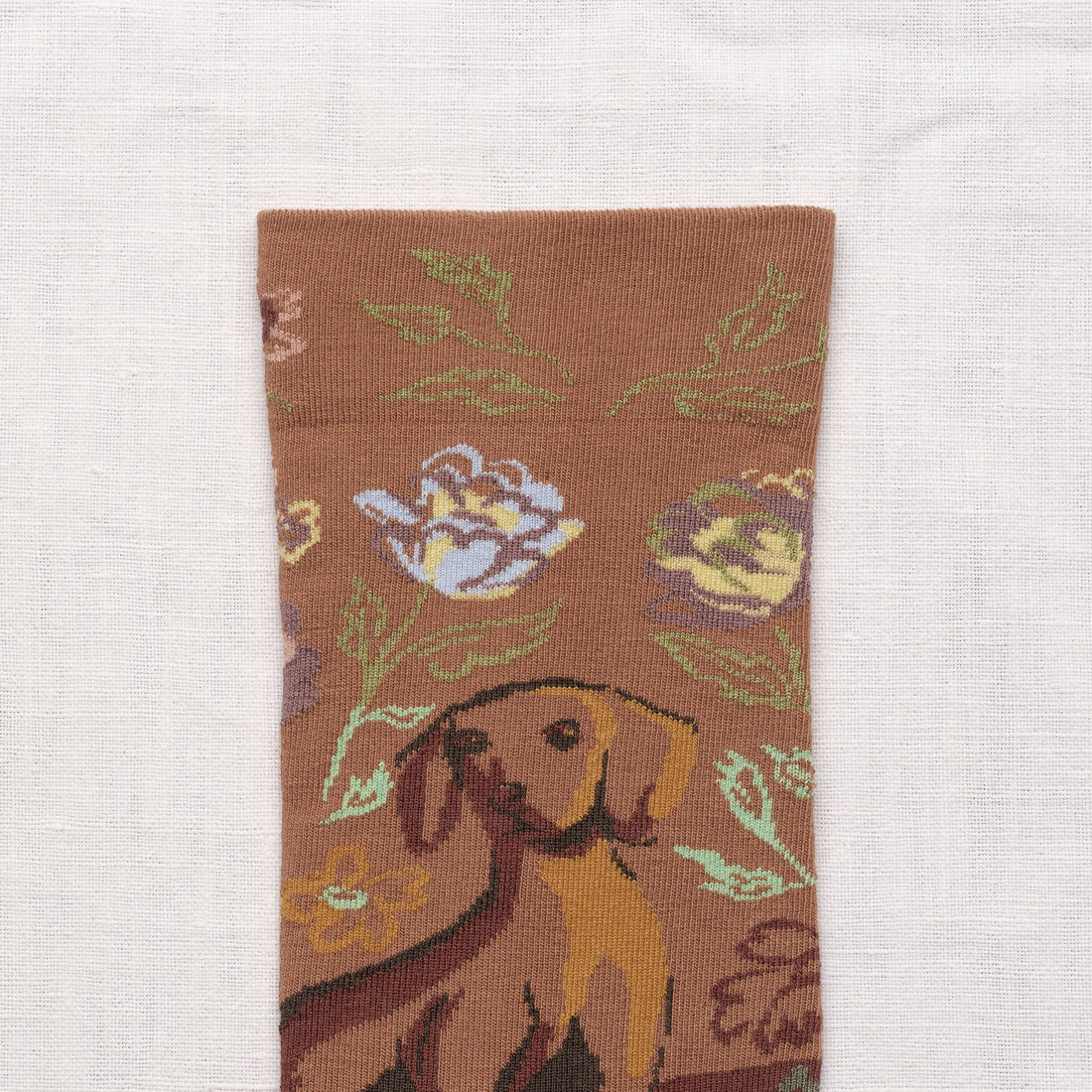 Caramel Dachshund Socks
